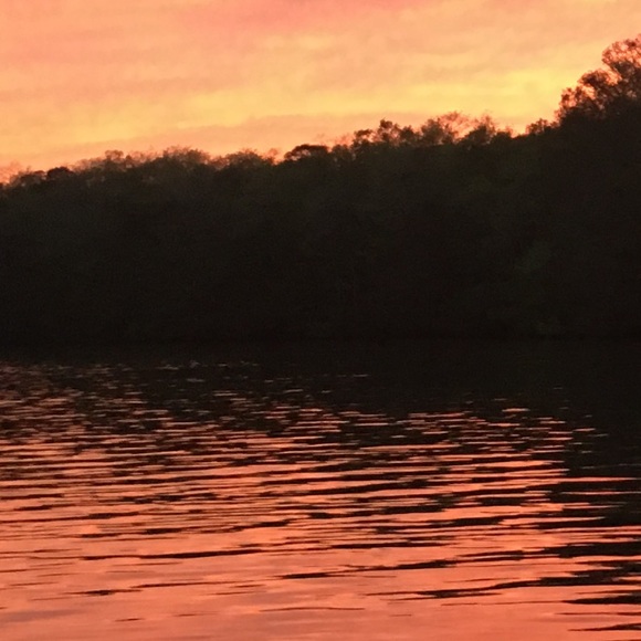 Meet your Posher, Bailey - Picture 1 of 1